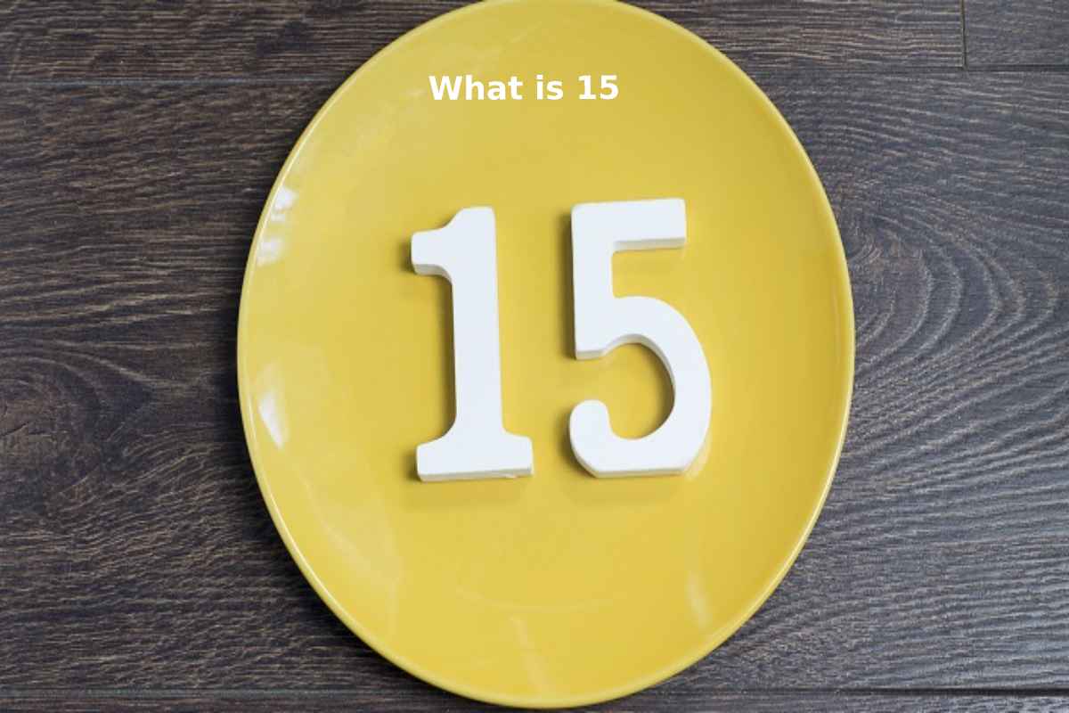 What Is 15 Solutions For Class 10 Maths Chapter